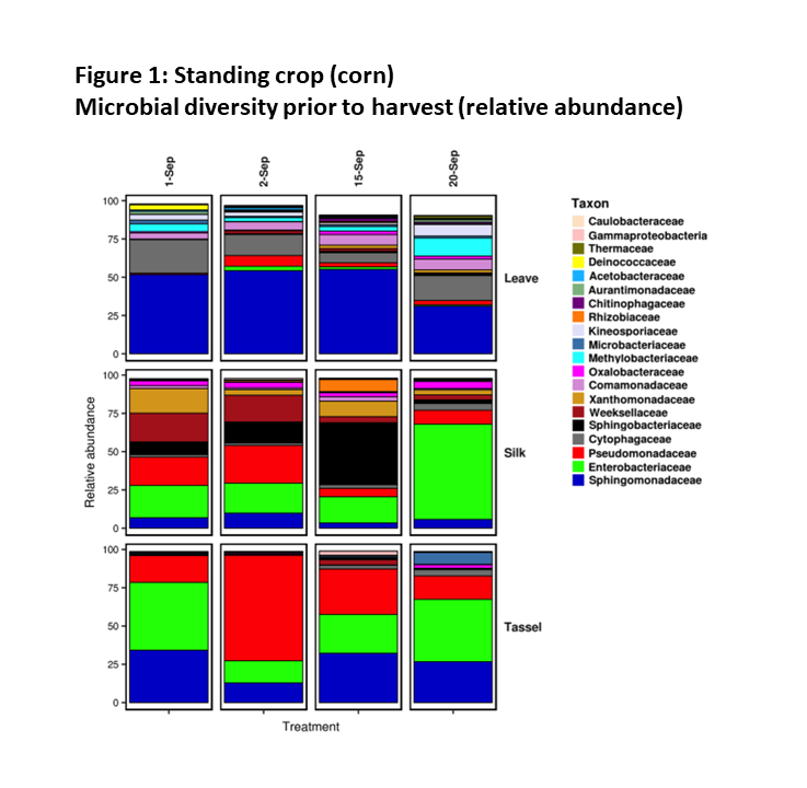 Figure 1. Standing crop (corn) microbial diversity prior to harvest (relative abundance)