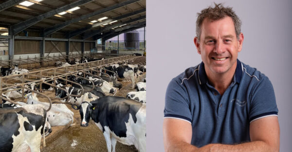 Mitigating heat stress in housed dairy cows