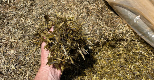 Making clean, hygienic quality grass silage is key to offset rising feed prices