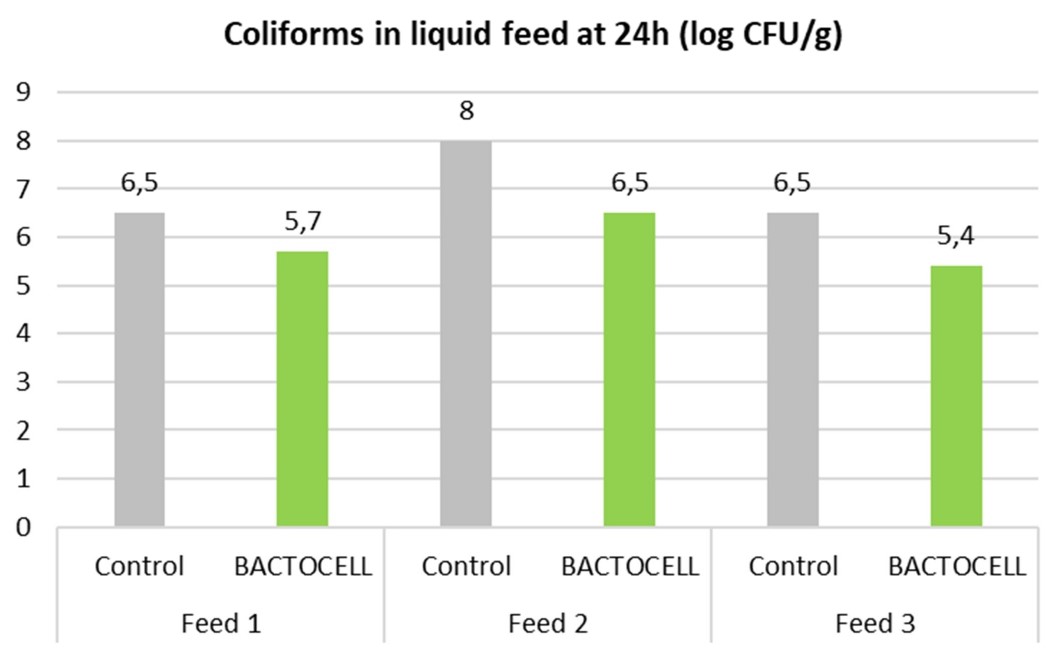Figure 2: Effect of P. acidilactici CNCM I-4622 on liquid feeds total Coliforms count at 24 hours (n=3 feeds).