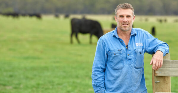 Silage helps to ‘future proof’ Gippsland beef enterprise