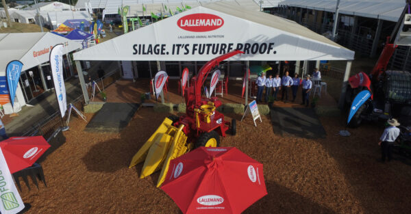 Step into the world of silage at Beef24