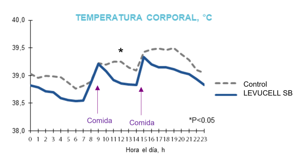 Figura 2: Efecto de la suplementación con Levucell SB sobre la temperatura corporal de los cerdos durante el estrés por calor (Serviento et al. 2022)