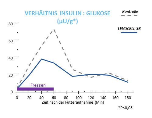 Abb.1: Auswirkung der Ergänzung mit Levucell SB auf das Verhältnis von Insulin zu Glukose bei Hitzestress (Serviento at al., 2022)