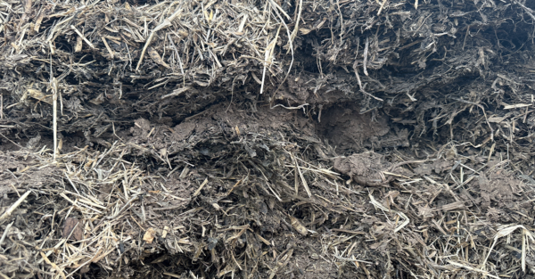 Ash contamination in silage results in more than just energy loss