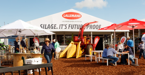 Silage Takes Center Stage at Beef Australia 2024: Insights and innovations for livestock producers