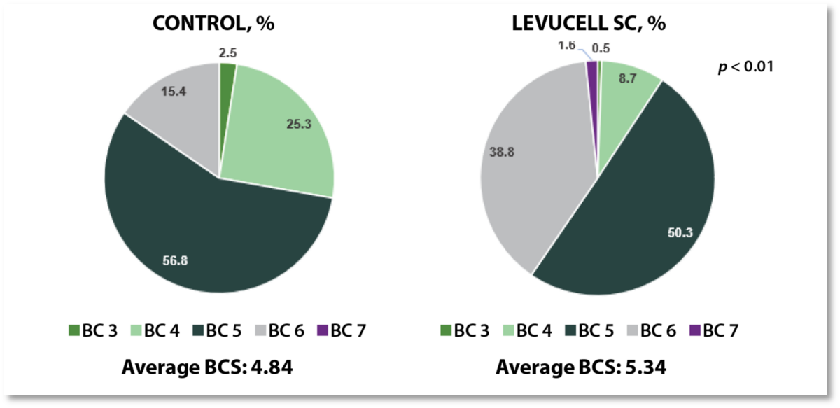 Cow Body Condition Score at Weaning